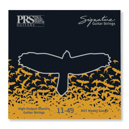 قیمت خرید فروش سیم گیتار الکتریک PRS Signature David Grissom 11-49