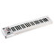 قیمت خرید فروش میدی کنترلر Roland A 49 White