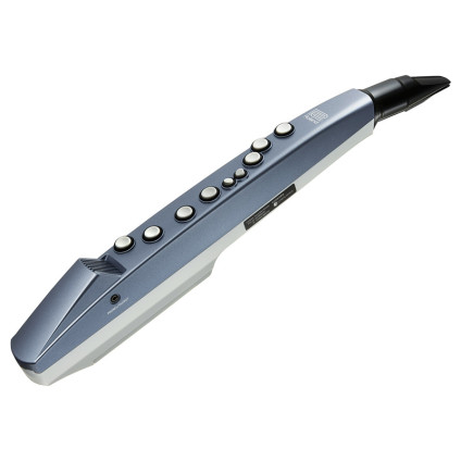 قیمت خرید فروش سازدهنی Roland AE 01 Aerophone mini