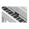 قیمت خرید فروش پیانو دیجیتال Roland GP607 White