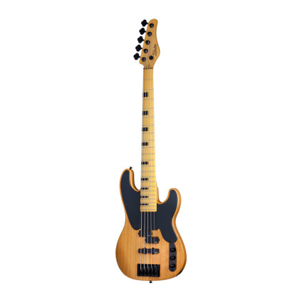 قیمت خرید فروش گیتار باس Schecter Model T Session 5 ANS