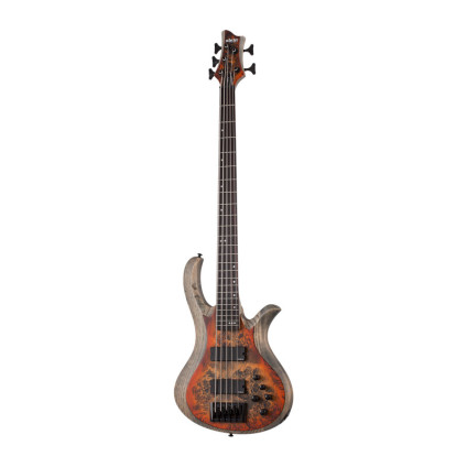 قیمت خرید فروش گیتار باس Schecter Riot 5 Bass Inferno Burst
