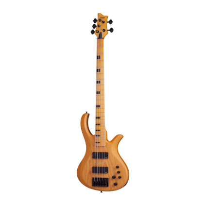 قیمت خرید فروش گیتار باس Schecter Riot 5 Session ANS