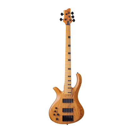 قیمت خرید فروش گیتار باس Schecter Riot 5 Session LH ANS