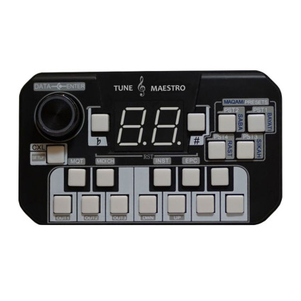 قیمت خرید فروش  Tune Maestro Box