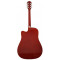 قیمت خرید فروش گیتار آکوستیک Washburn WA90CRDB
