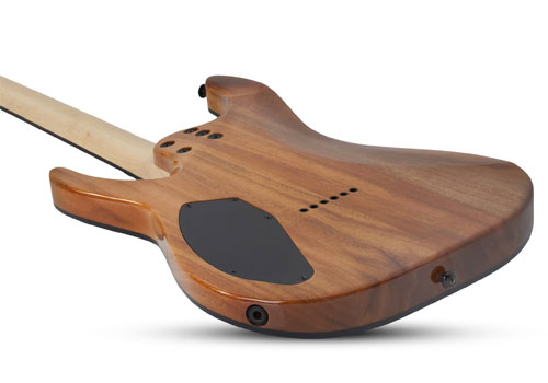 گیتار الکتریک شکتر Schecter C 6 Pro Charcoal Burst